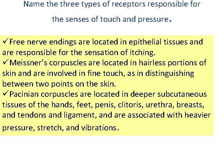 Name three types of receptors responsible for the senses of touch and pressure. üFree