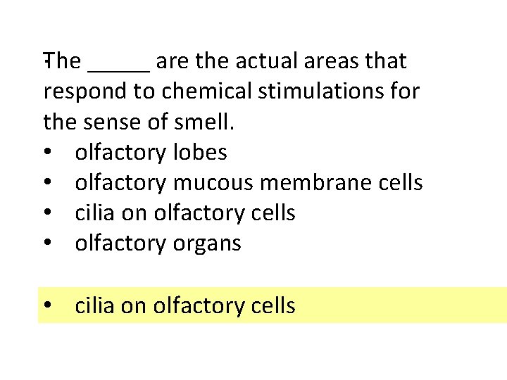 . The _____ are the actual areas that respond to chemical stimulations for the