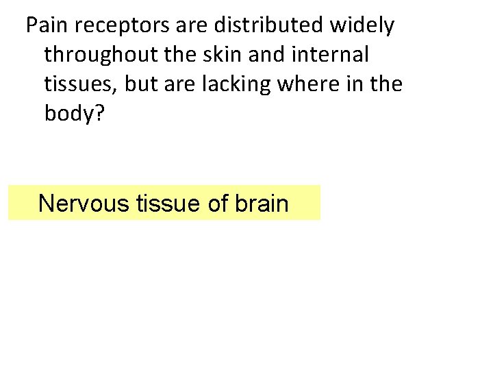 Pain receptors are distributed widely throughout the skin and internal tissues, but are lacking