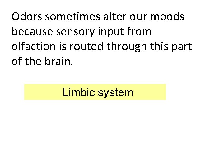 Odors sometimes alter our moods because sensory input from olfaction is routed through this