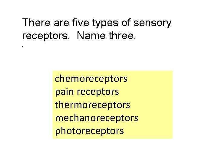 There are five types of sensory receptors. Name three. . chemoreceptors pain receptors thermoreceptors