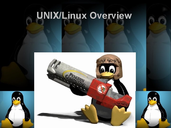 UNIX/Linux Overview 1 