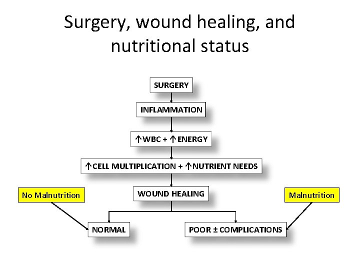 Surgery, wound healing, and nutritional status SURGERY INFLAMMATION ↑WBC + ↑ENERGY ↑CELL MULTIPLICATION +