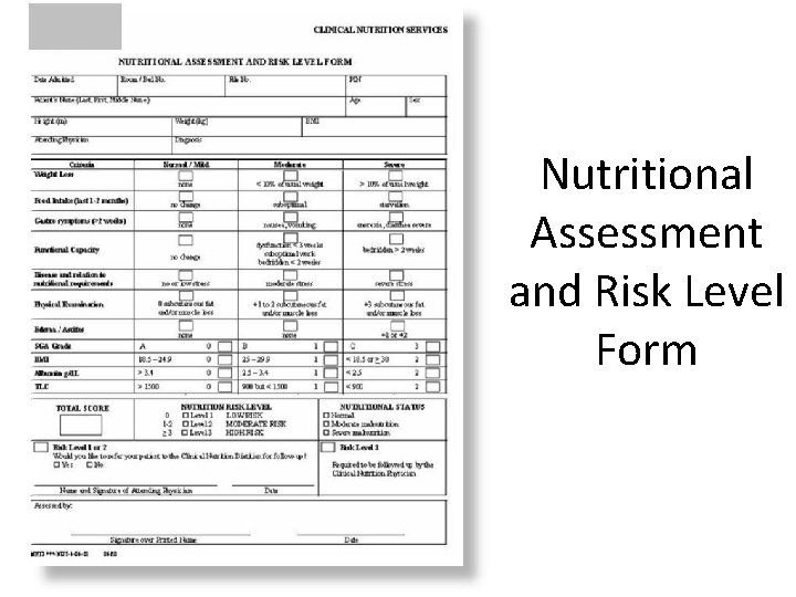 Nutritional Assessment and Risk Level Form 