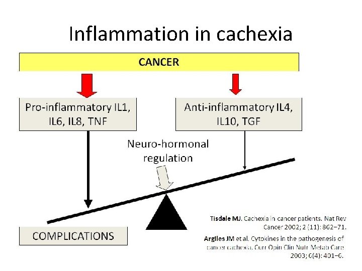 Inflammation in cachexia 