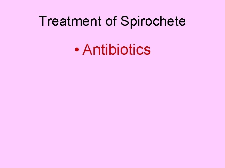 Treatment of Spirochete • Antibiotics 
