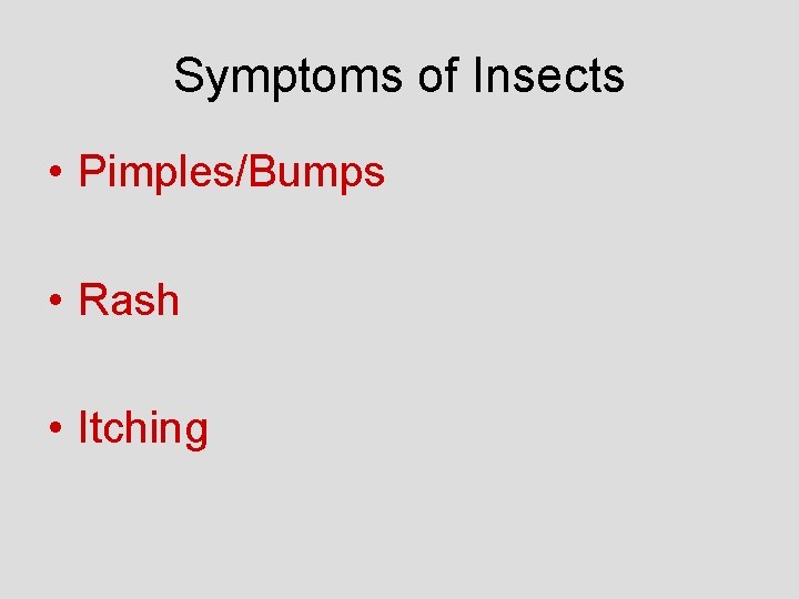 Symptoms of Insects • Pimples/Bumps • Rash • Itching 