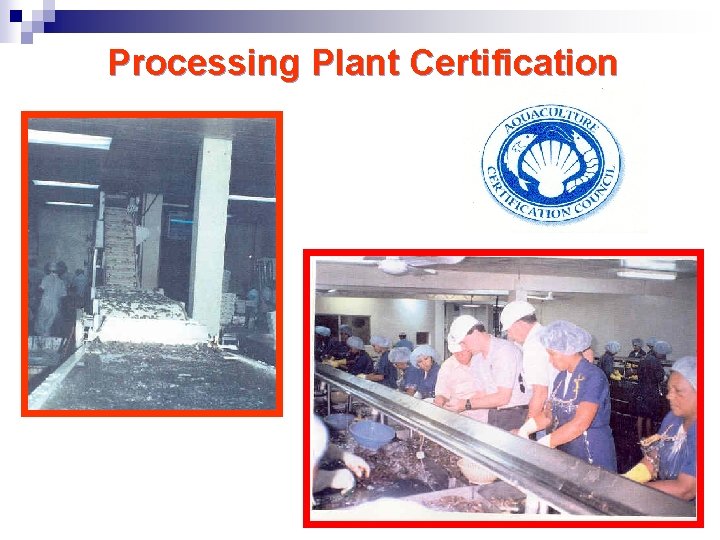Processing Plant Certification 