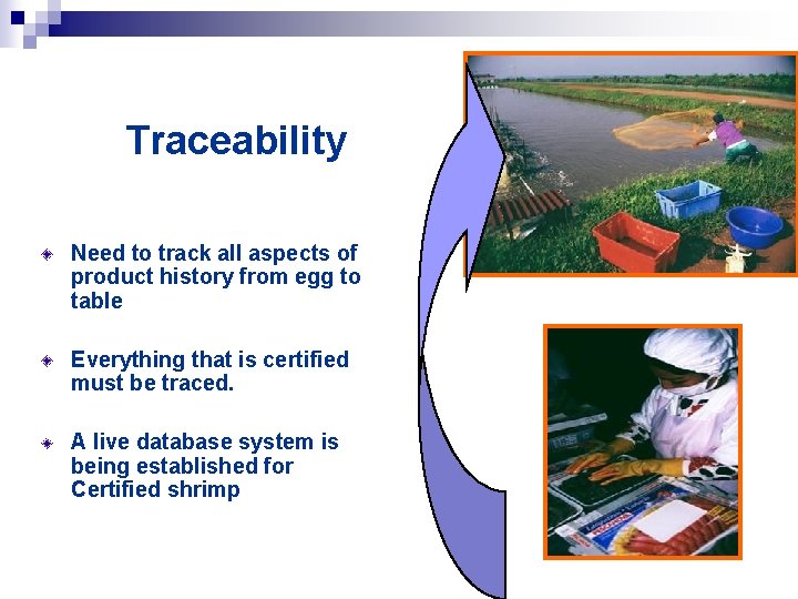 Traceability Need to track all aspects of product history from egg to table Everything