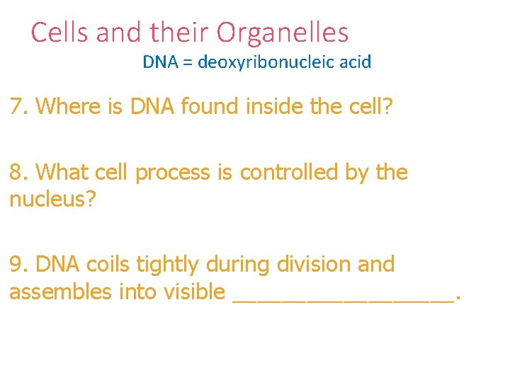 Cells and their Organelles DNA = deoxyribonucleic acid 7. Where is DNA found inside