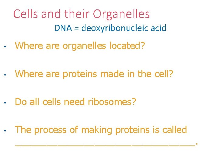 Cells and their Organelles DNA = deoxyribonucleic acid • Where are organelles located? •