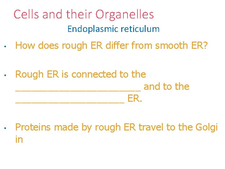 Cells and their Organelles Endoplasmic reticulum • • • How does rough ER differ