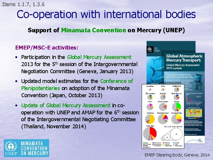 Items 1. 1. 7, 1. 3. 6 Co-operation with international bodies Support of Minamata