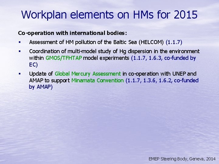 Workplan elements on HMs for 2015 Co-operation with international bodies: § Assessment of HM