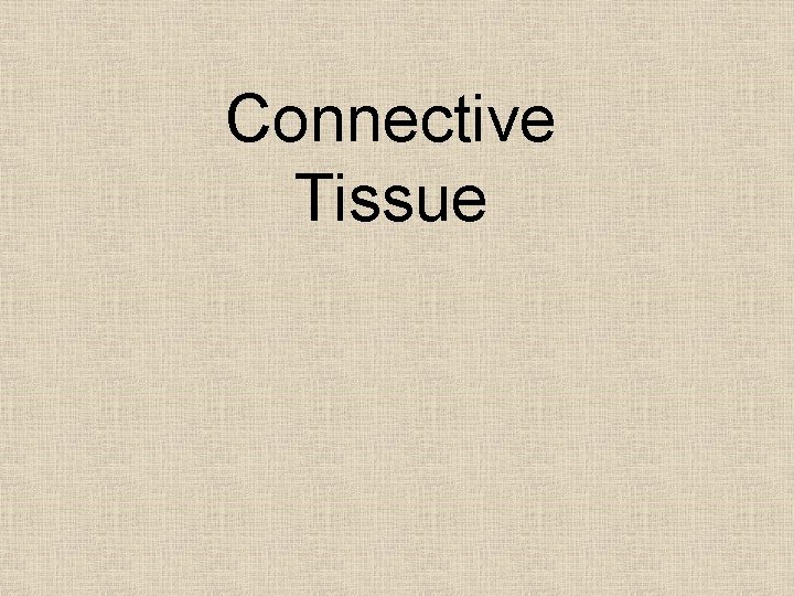 Connective Tissue 
