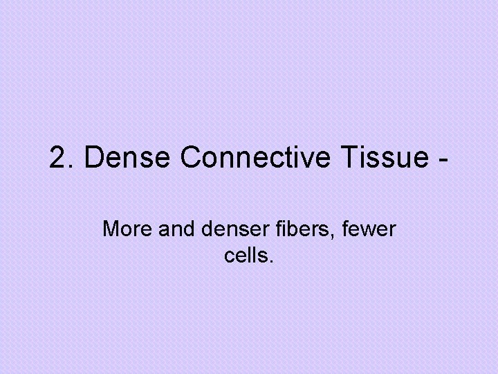 2. Dense Connective Tissue More and denser fibers, fewer cells. 