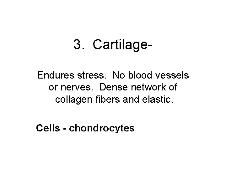 3. Cartilage. Endures stress. No blood vessels or nerves. Dense network of collagen fibers