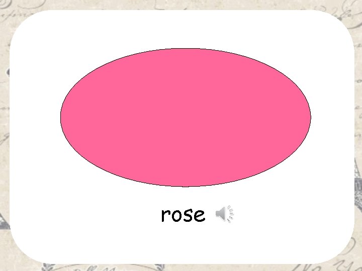 rose 