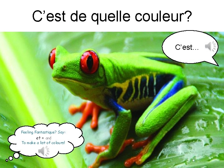 C’est de quelle couleur? C’est… ? Feeling Fantastique? Say: et = and To make