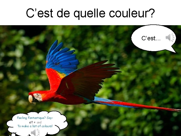 C’est de quelle couleur? C’est… ? Feeling Fantastique? Say: et = and To make