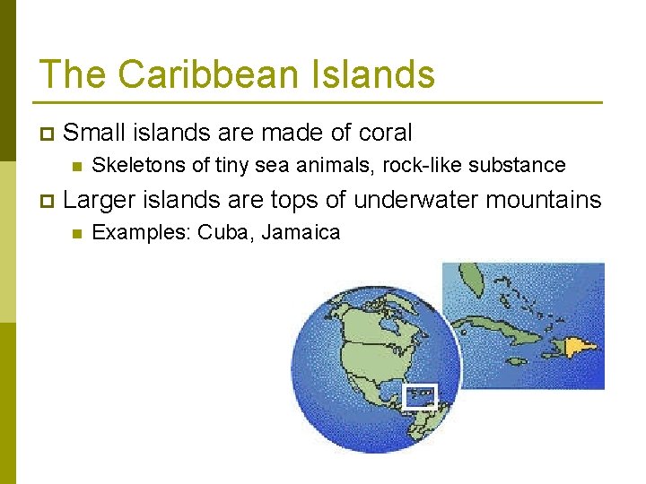 The Caribbean Islands p Small islands are made of coral n p Skeletons of