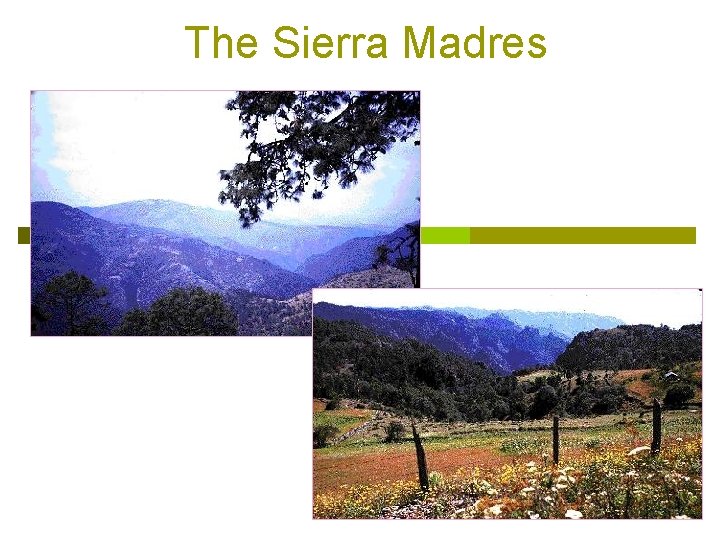 The Sierra Madres 