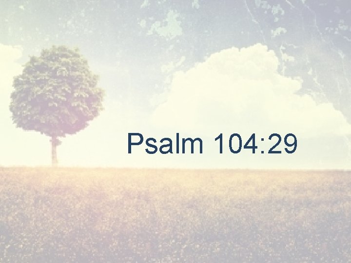 Psalm 104: 29 