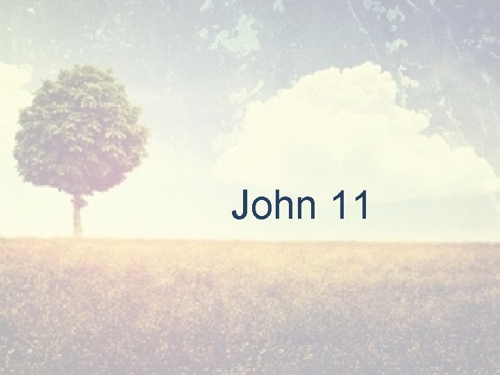 John 11 
