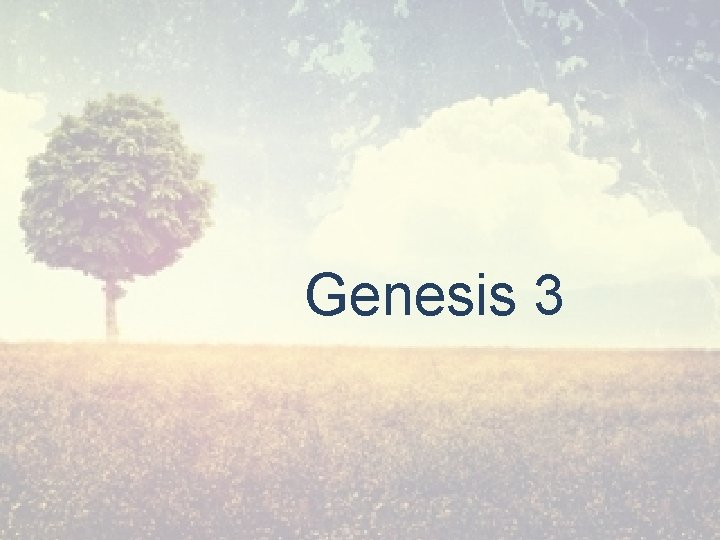 Genesis 3 