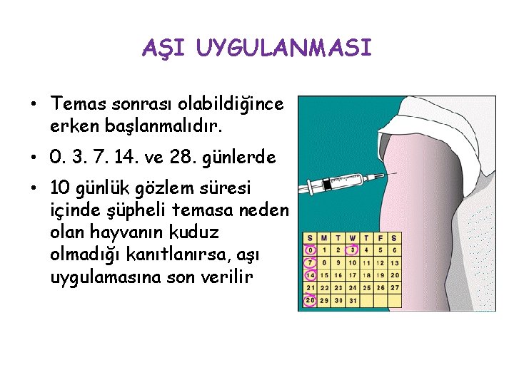 AŞI UYGULANMASI • Temas sonrası olabildiğince erken başlanmalıdır. • 0. 3. 7. 14. ve AŞI UYGULANMASI • Temas sonrası olabildiğince erken başlanmalıdır. • 0. 3. 7. 14. ve