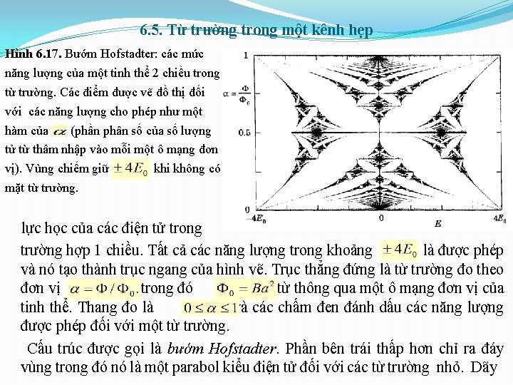 6. 5. Từ trường trong một kênh hẹp Hình 6. 17. Bướm Hofstadter: các