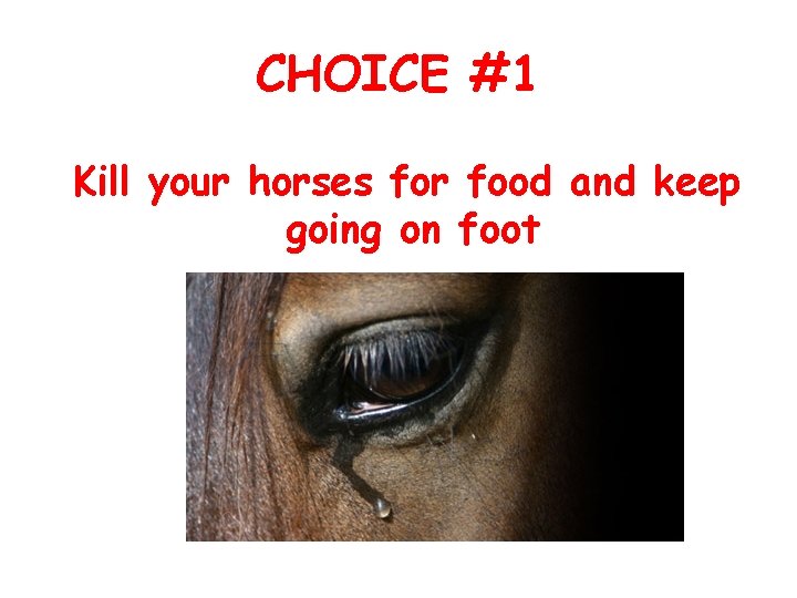CHOICE #1 Kill your horses for food and keep going on foot 