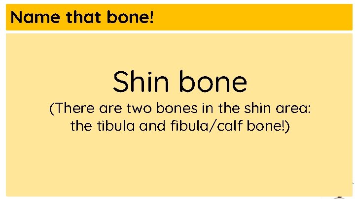Name that bone! Shin bone (There are two bones in the shin area: the