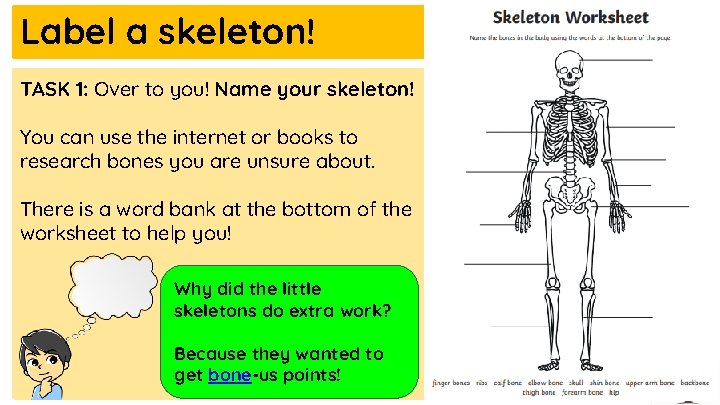 Label a skeleton! TASK 1: Over to you! Name your skeleton! You can use