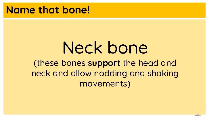 Name that bone! Neck bone (these bones support the head and neck and allow