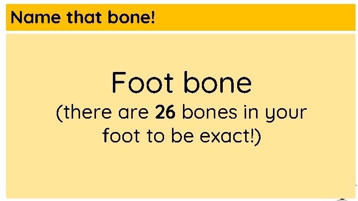 Name that bone! Foot bone (there are 26 bones in your foot to be