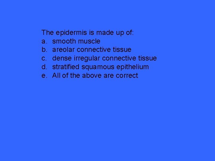 The epidermis is made up of: a. smooth muscle b. areolar connective tissue c.