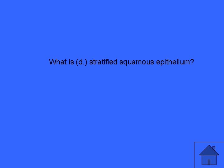 What is (d. ) stratified squamous epithelium? 