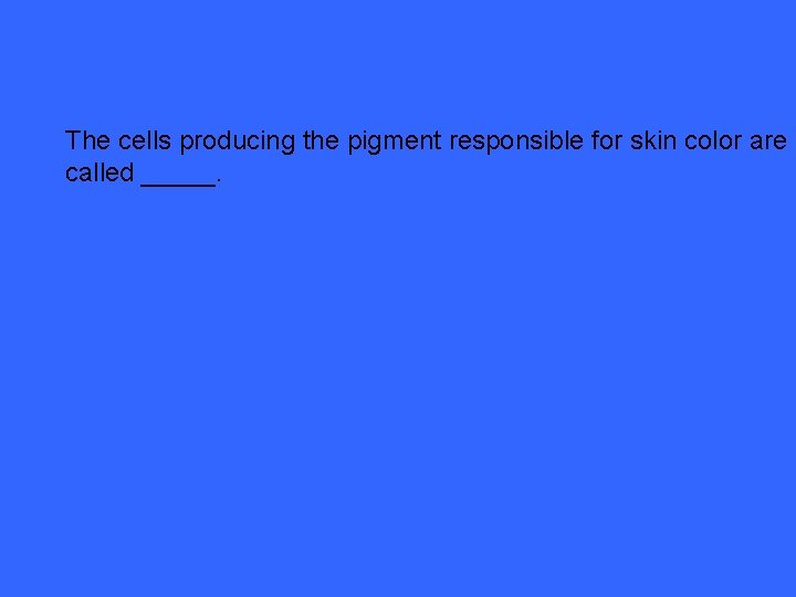 The cells producing the pigment responsible for skin color are called _____. 