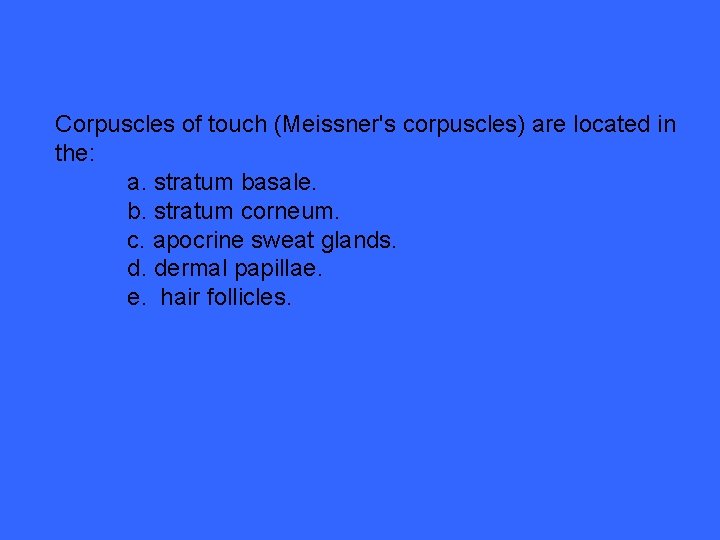 Corpuscles of touch (Meissner's corpuscles) are located in the: a. stratum basale. b. stratum