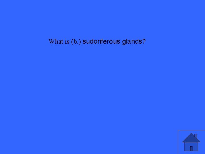 What is (b. ) sudoriferous glands? 