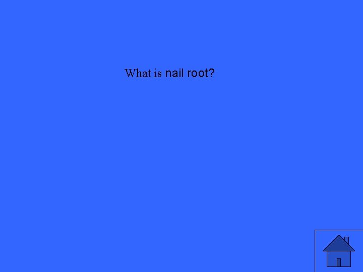 What is nail root? 