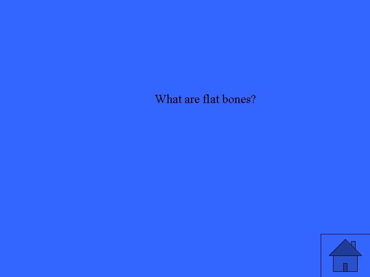 What are flat bones? 