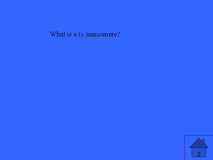 What is a (c. )sarcomere? 