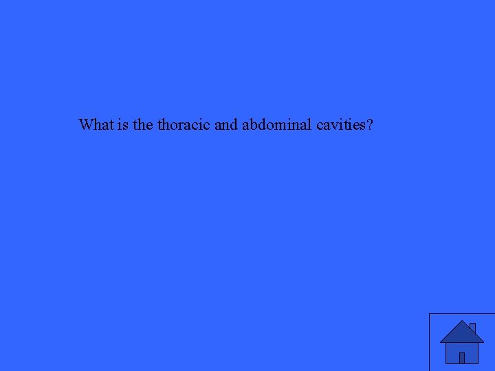 What is the thoracic and abdominal cavities? 