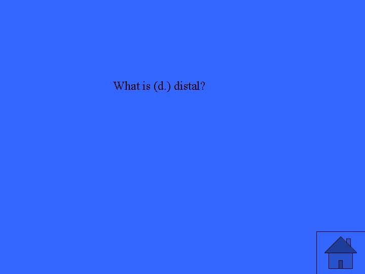 What is (d. ) distal? 