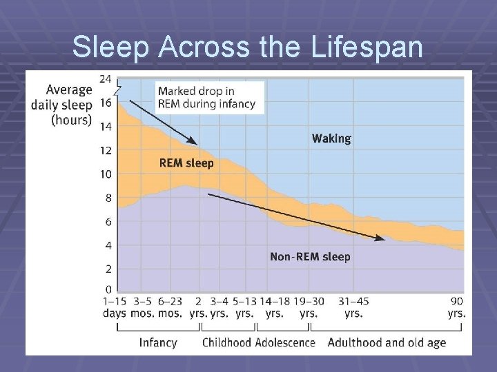 Sleep Across the Lifespan 