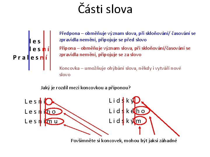 Části slova lesní Pralesní Předpona – obměňuje význam slova, při skloňování/ časování se zpravidla