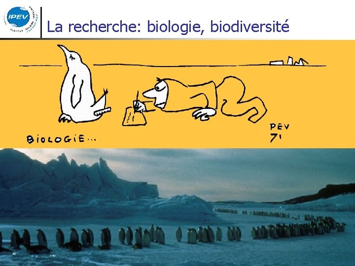 La recherche: biologie, biodiversité 