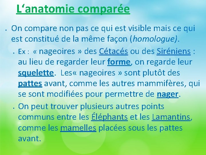 L‘anatomie comparée On compare non pas ce qui est visible mais ce qui est